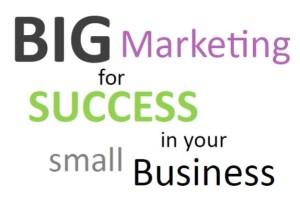 BIG Marketing for SUCCESS in your small Business.png